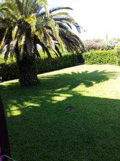 Le Palme - Capoliveri - 3