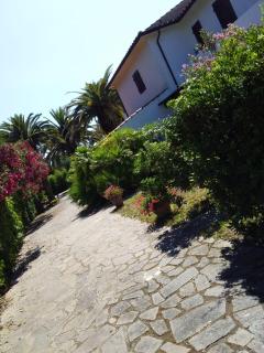 Le Palme - Capoliveri - 8