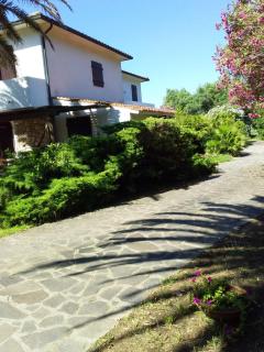 Le Palme - Capoliveri - 6