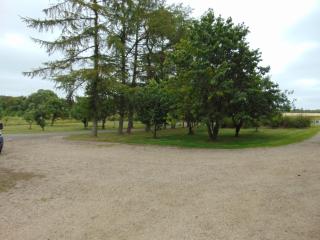 Verstvej bed and brekfast - 6