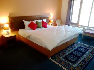 Vamoose Shuma Villa - Leh - 6
