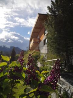 S'Obadoba - Penthouse Falkeis - 4