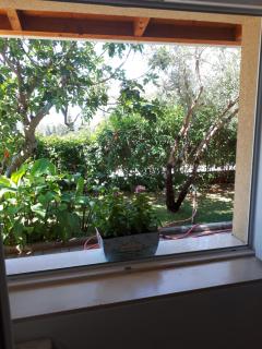 Apartment Maro - Šibenik - 8