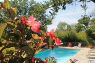 Gites Domaine de Ceyrac - Conqueyrac - 2
