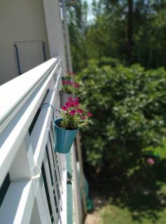 Apartman Natura vita Blagaj - Blagaj - 1