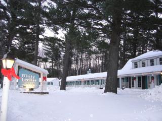 White Trellis Motel - North Conway - 9