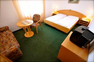 Hotel-Gasthof Am Riedl - Koppl - 4