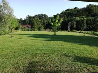 Brunarica Lorentia - 6