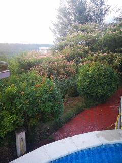 Complex Karia II - Kavarna - 4