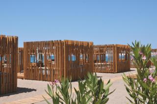 Paloma Finesse Side - 5