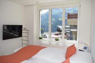 Apartment Eigerpeak by Silberhorn Hotel - 8