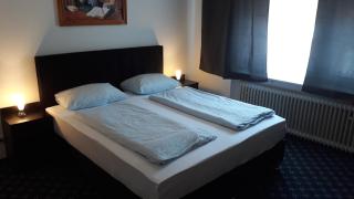 Hotel Elsenztal - Bammental - 3