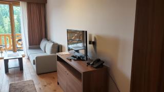 Apartments B229 & B230 in Aparthotel Vucko, Jahorina -private host - 2