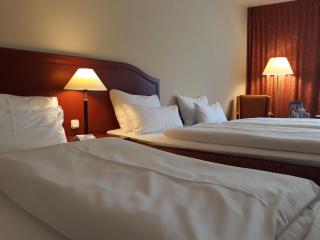 SORAT Hotel Brandenburg - Brandenburg an der Havel - 4