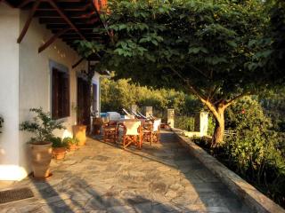 Villa Maria O - Skopelos Town - 1