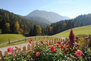 Familienbauernhof Glockriegl - Lunz am See - 8