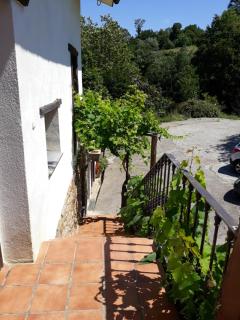 Agroturismo Sidreria Txindurri Iturri - Deba - 1