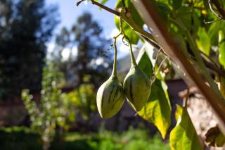 Allin Illary Eco Hospedaje - 2