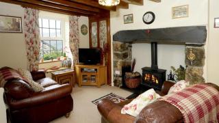 Dinas Cottage - Penrhyndeudreath - 9