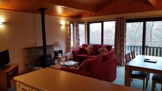 Birch Chalet - 3