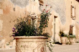 Les Cieux de Saint-Félix, Maison d'Hôtes & SPA - Saint-Félix-de-Villadeix - 1
