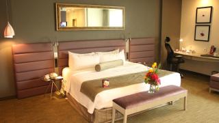 Crowne Plaza Toluca - Lancaster by IHG - Toluca - 5