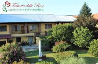 Fattoria Delle Rose - Salussola - 4
