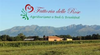 Fattoria Delle Rose - 8