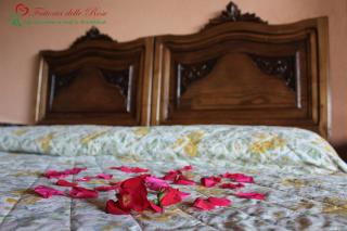 Fattoria Delle Rose - Salussola - 6