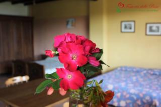 Fattoria Delle Rose - Salussola - 2