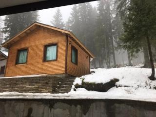 Семеен хотел Гингеръ - 4