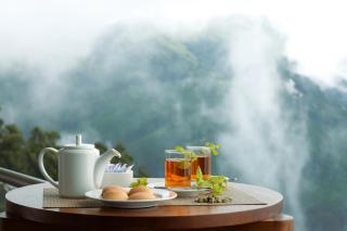 Amber Dale Luxury Hotel & Spa, Munnar - Munnar - 7