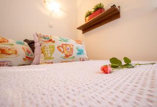 Stella House Mrežnica - 1