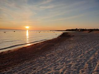 Seglarevistet i Domsten - 9