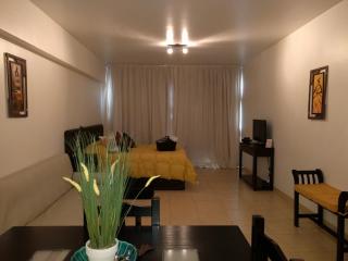 Concord Zafiro Pilar Apart - Pilar - 5