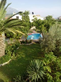 Garden - Bar - 0