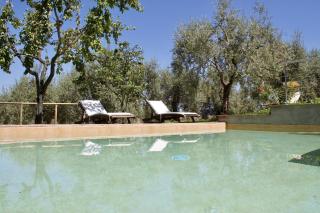 Agriturismo Podere Pescara - Orvieto - 6