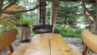 Miś Pokoje Gościnne - 1