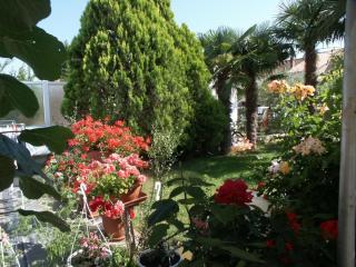 Apartments with WiFi Rovinj - 2243 - Rovinj - 7