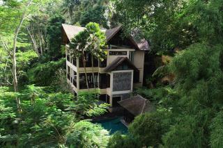 Villa Naga Putih - Ubud - 0