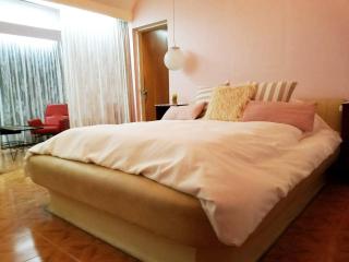 Casa Magnolia: amplia y cómoda,la mejor ubicación - Salta - 8