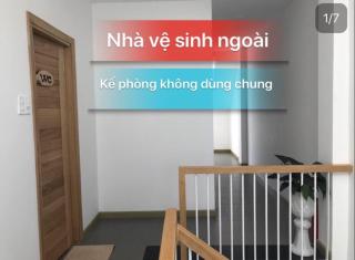 Hoa Hồng Miyako - Dalat - 8