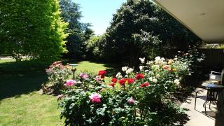 Opal Motel - Leongatha - 8