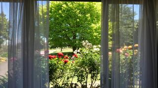 Opal Motel - Leongatha - 9