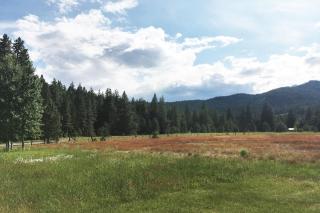 Forestside Lodge - 3