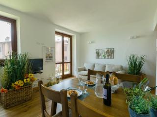 Discesa a Lago with terrace and garden on lake Iseo - Riva di Solto - 9