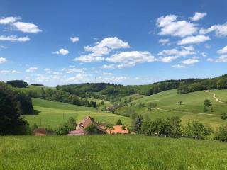 Hotel Garni Schmieder’s Ochsen - Seelbach - 1