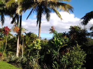 Lava Tree Tropic Inn - Pahoa - 9