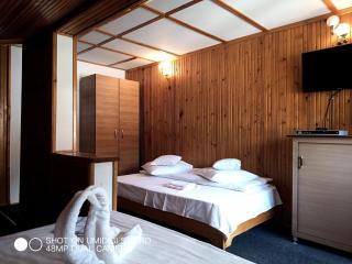 Casa Rodica str. Clabucetului 28 - Buşteni - 1