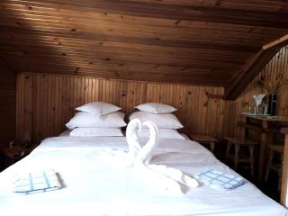 Casa Rodica str. Clabucetului 28 - Buşteni - 2